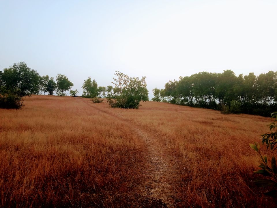 Photo of Laid-back, Unspoiled and Rustic nature-Gokarna!! #Solotraveller!! 48/50 by Dixit Mehta