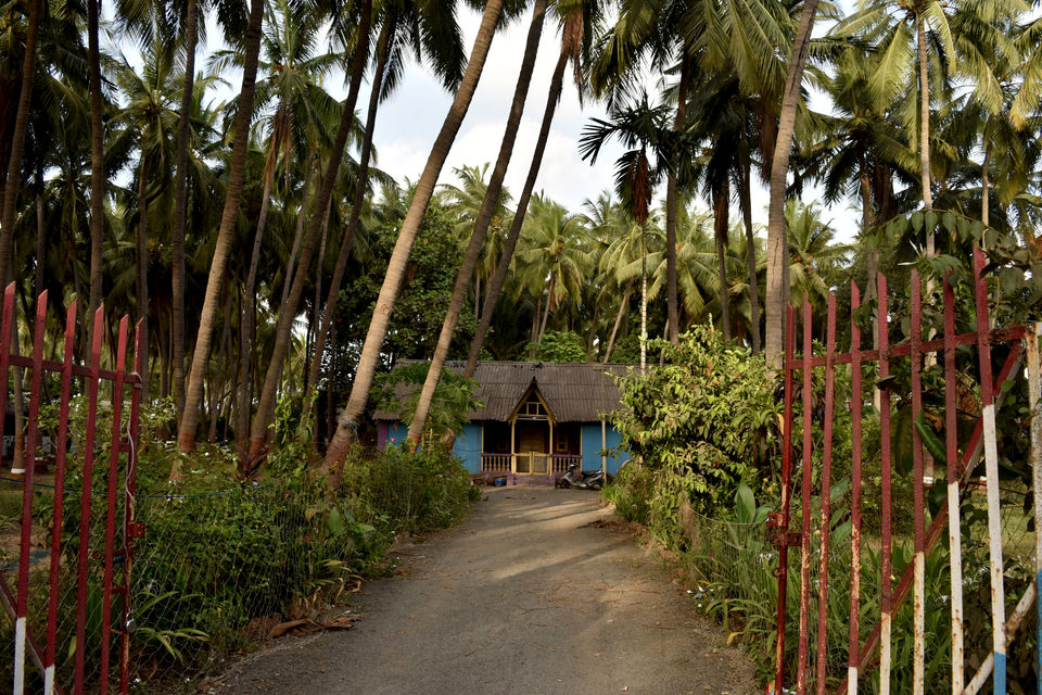 Photo of Daman: The perfect Weekend Getaway 5/10 by Saumya Shukla