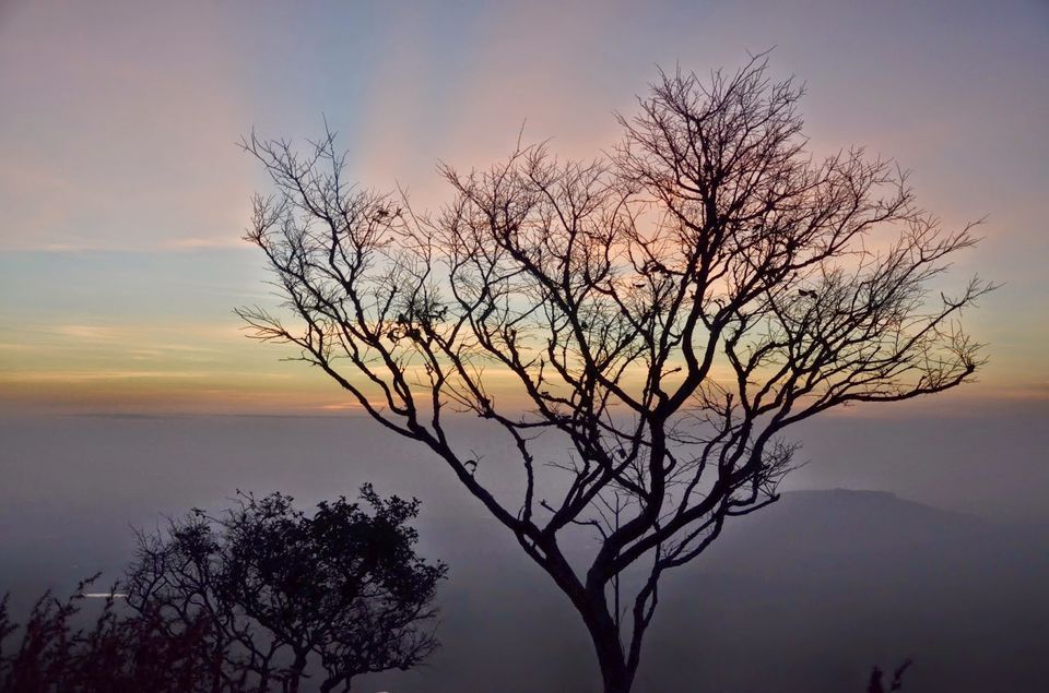 Photo of Night Trek to Brahmagiri, Karnataka 3/5 by Jitender Singh