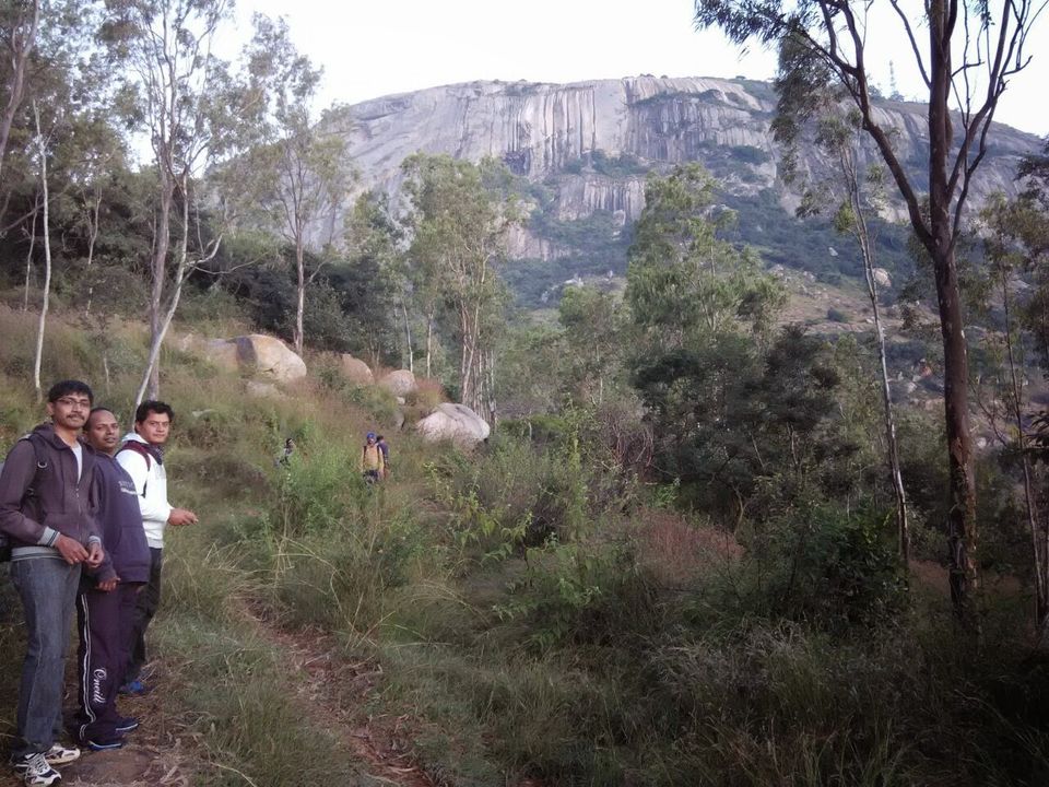 Photo of Night Trek to Brahmagiri, Karnataka 4/5 by Jitender Singh