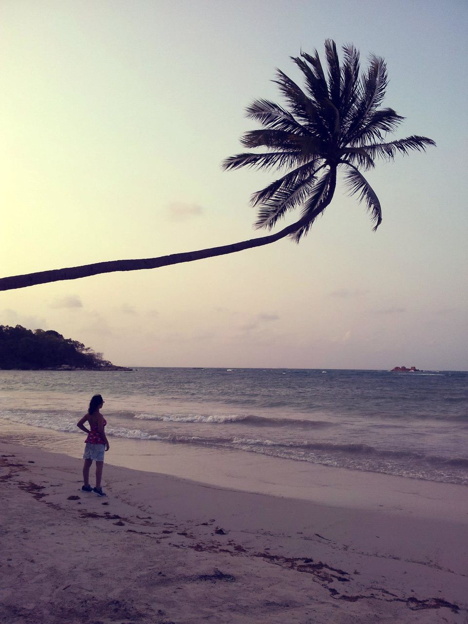 Photo of Escape to Sparkling Bintan: Indonesian Getaways 14/17 by Syakira