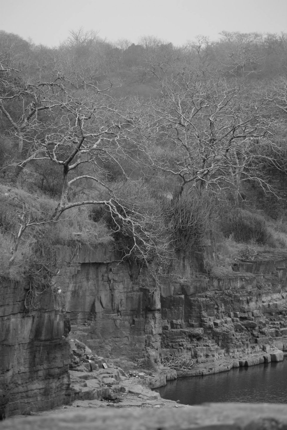 Photo of Ranthambore National Park by Rohan Singhal