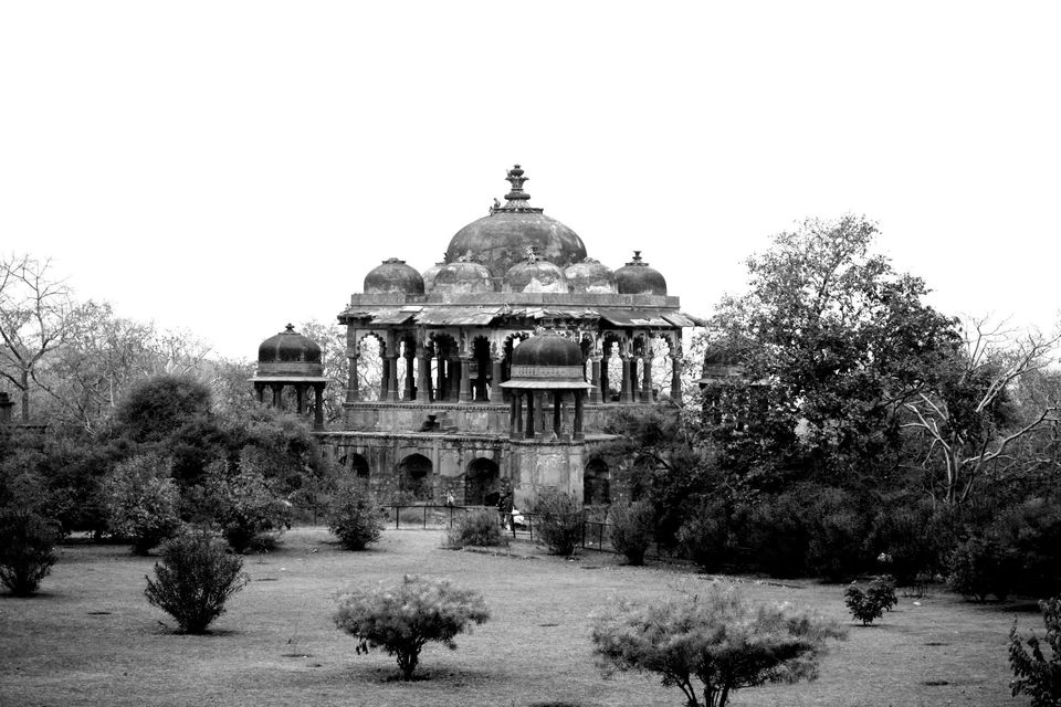 Photo of Ranthambore National Park by Rohan Singhal