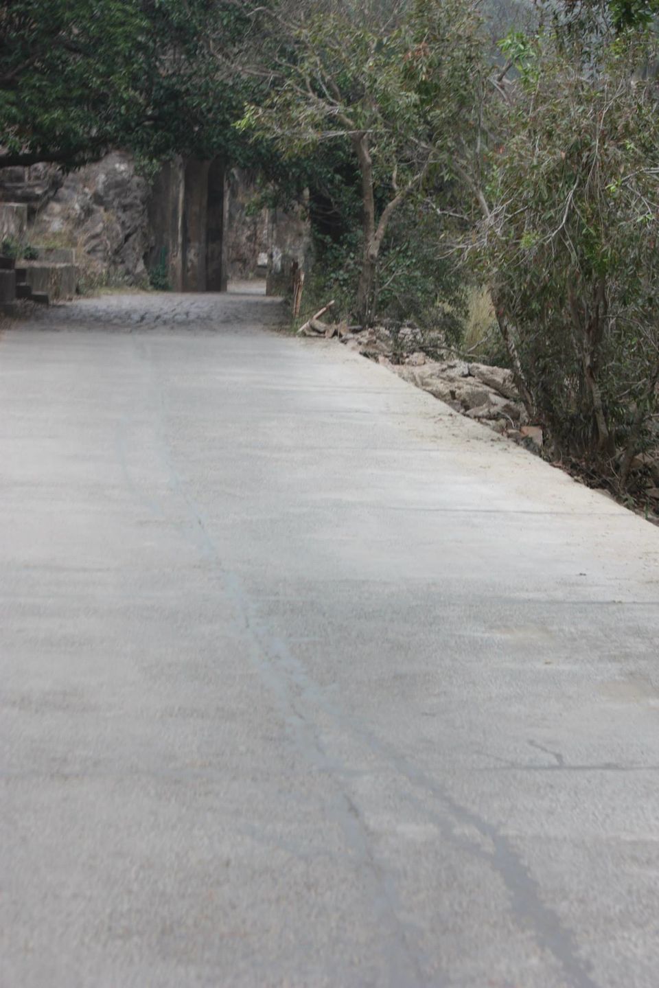 Photo of Ranthambore National Park by Rohan Singhal