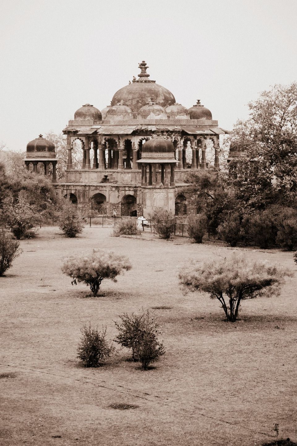 Photo of Ranthambore National Park by Rohan Singhal
