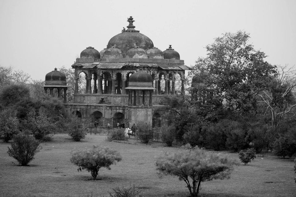 Photo of Ranthambore National Park by Rohan Singhal