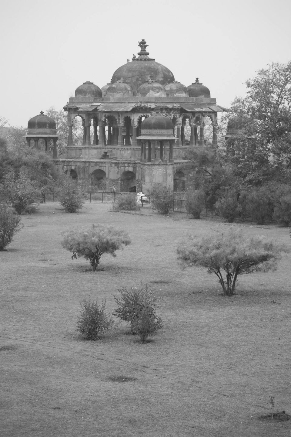 Photo of Ranthambore National Park by Rohan Singhal
