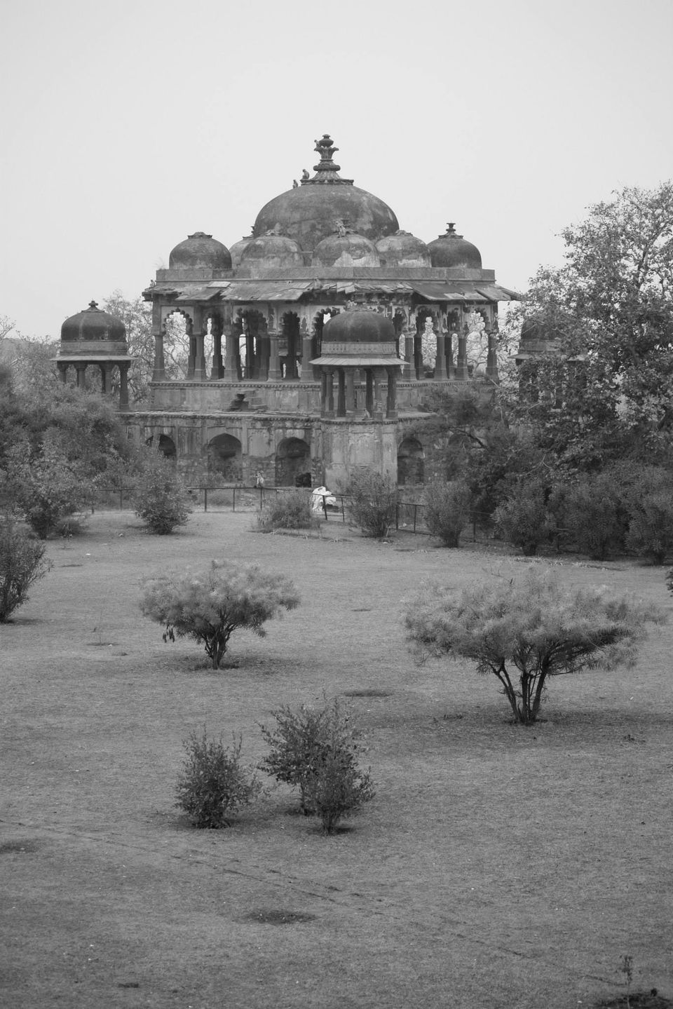 Photo of Ranthambore National Park by Rohan Singhal