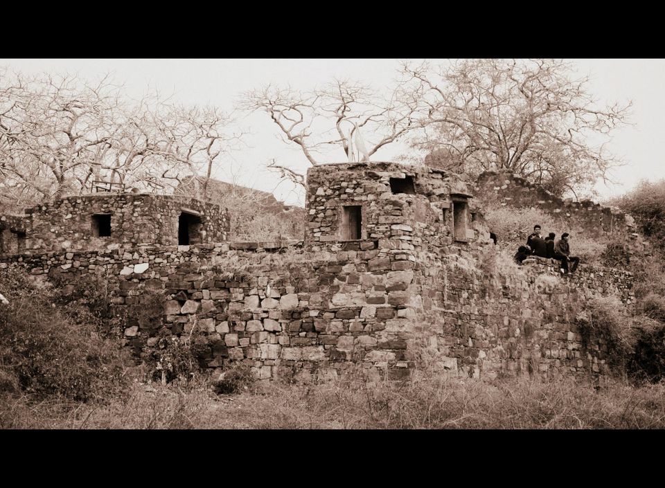 Photo of Ranthambore National Park by Rohan Singhal