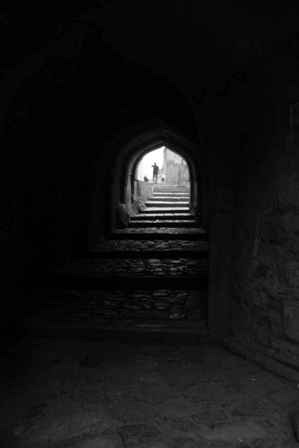 Photo of Ranthambore National Park by Rohan Singhal