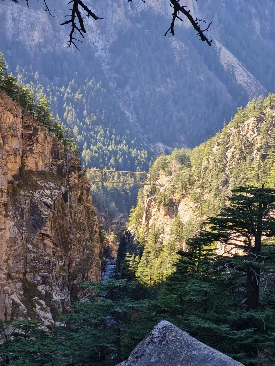 Photo of Skywalk in Uttrakhand by Anita Mehta