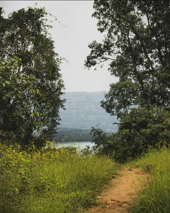 Photo of Mulshi Lake, Nandivali, Maharashtra 412108 by Rohan Pavgi