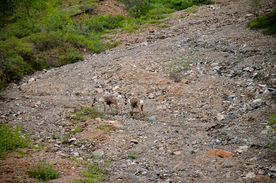 Photo of Alaska with friends 16/24 by Sapan Shah