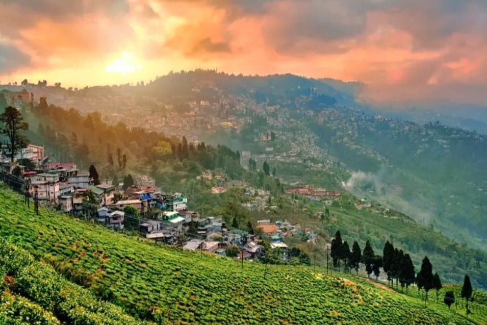 Photo of Darjeeling: The Mesmerizing beauty of North Bengal by Pujayeta Sarkar