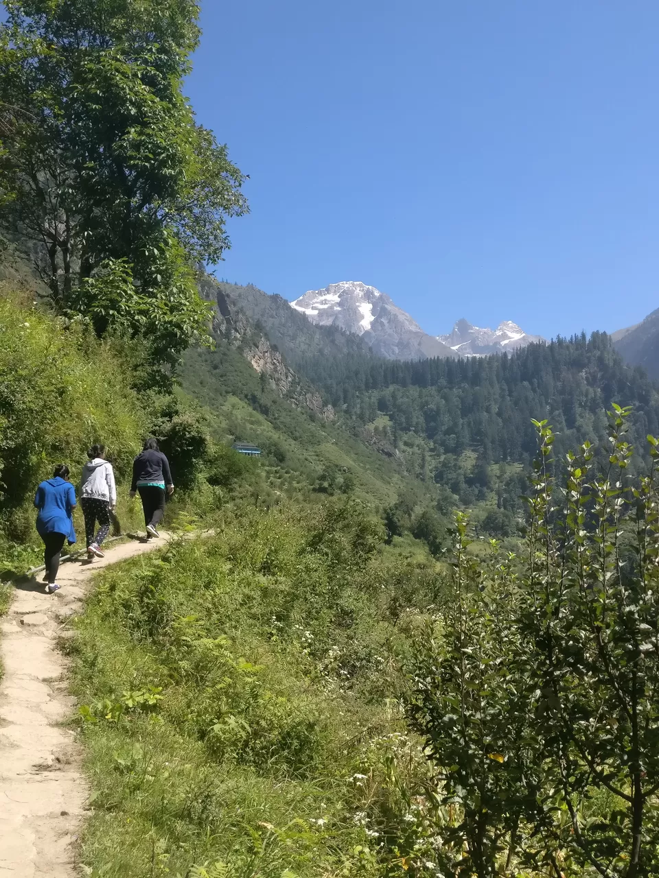 Photo of Tosh, Himachal Pradesh, India by pooja thakkar