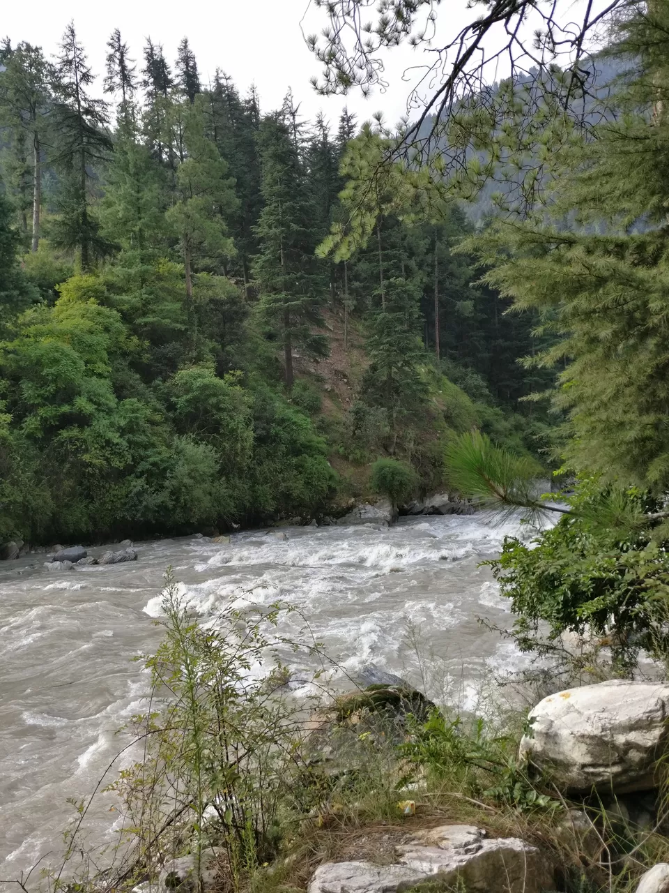 Photo of When you want to be high in Parvati Valley, but on nature. by pooja thakkar
