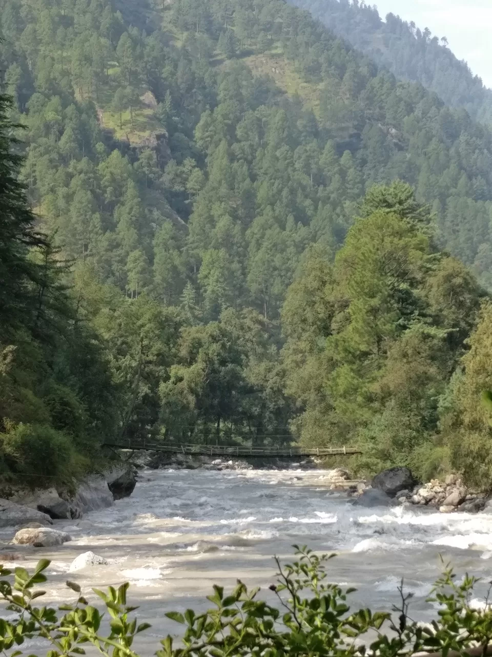 Photo of When you want to be high in Parvati Valley, but on nature. by pooja thakkar