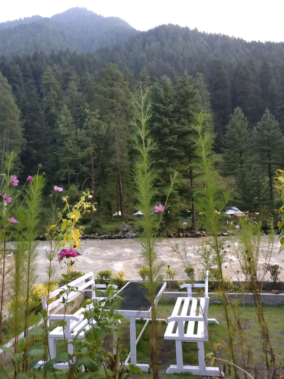 Photo of Kasol, Himachal Pradesh, India by pooja thakkar