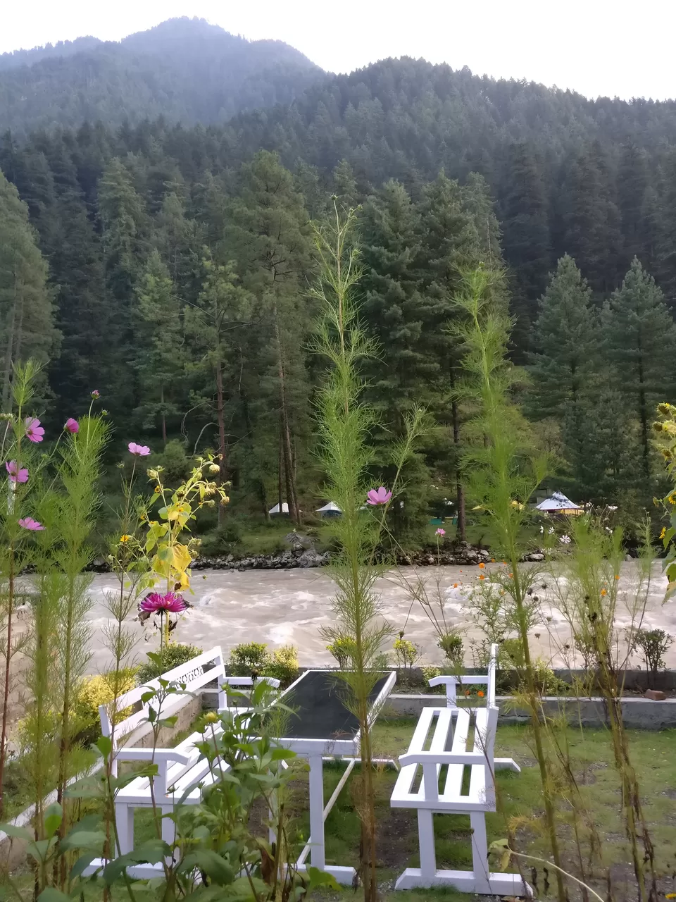 Photo of Kasol, Himachal Pradesh, India by pooja thakkar