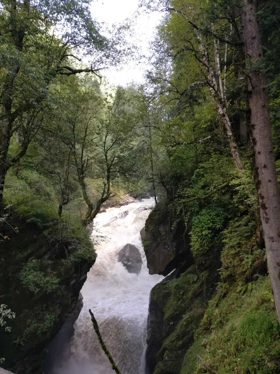 Photo of When you want to be high in Parvati Valley, but on nature. by pooja thakkar