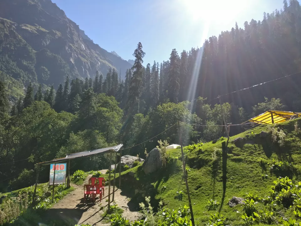 Photo of When you want to be high in Parvati Valley, but on nature. by pooja thakkar