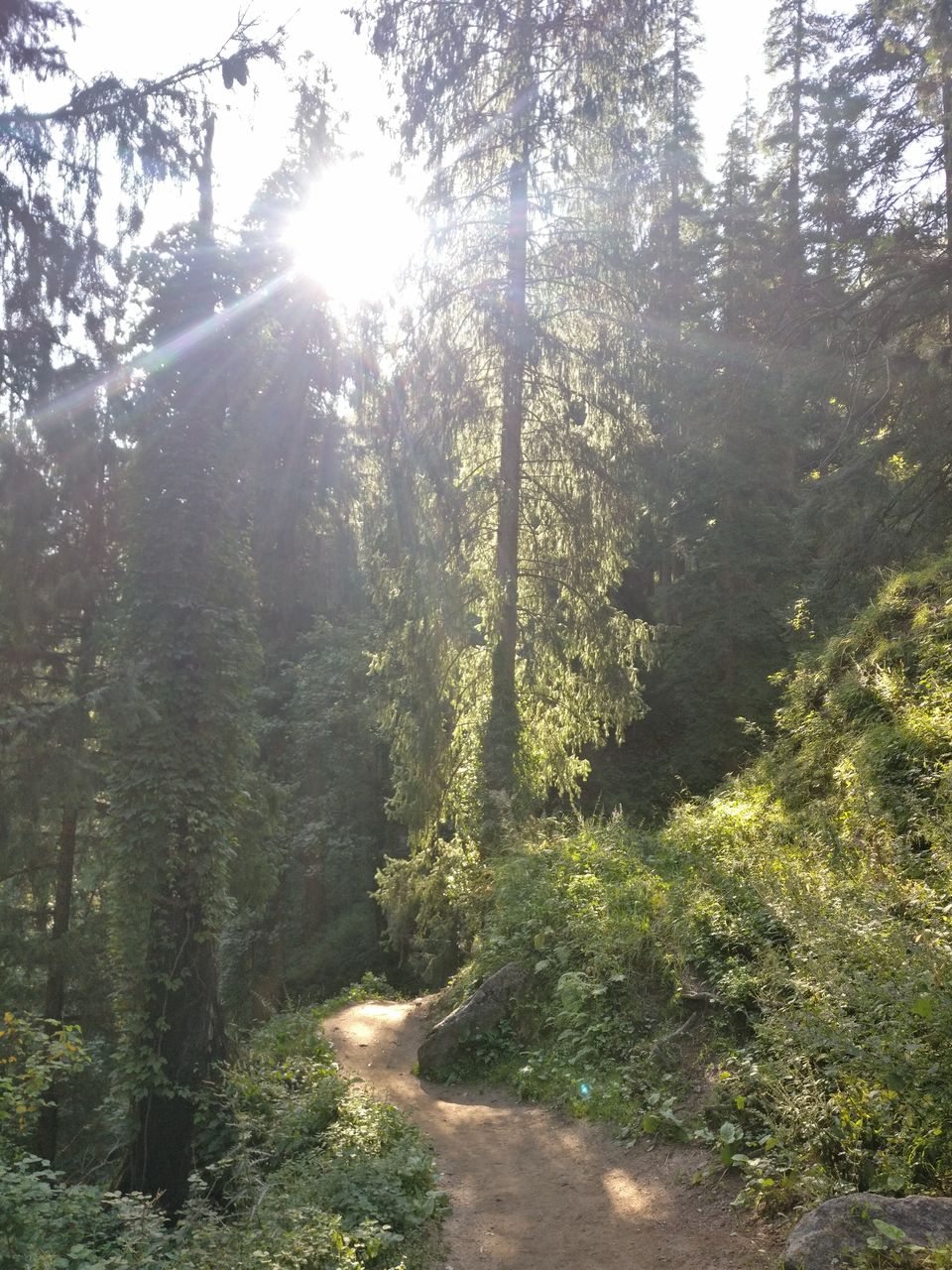Photo of Katagla Forest Retreat, Kasol, Himachal Pradesh, India by pooja thakkar