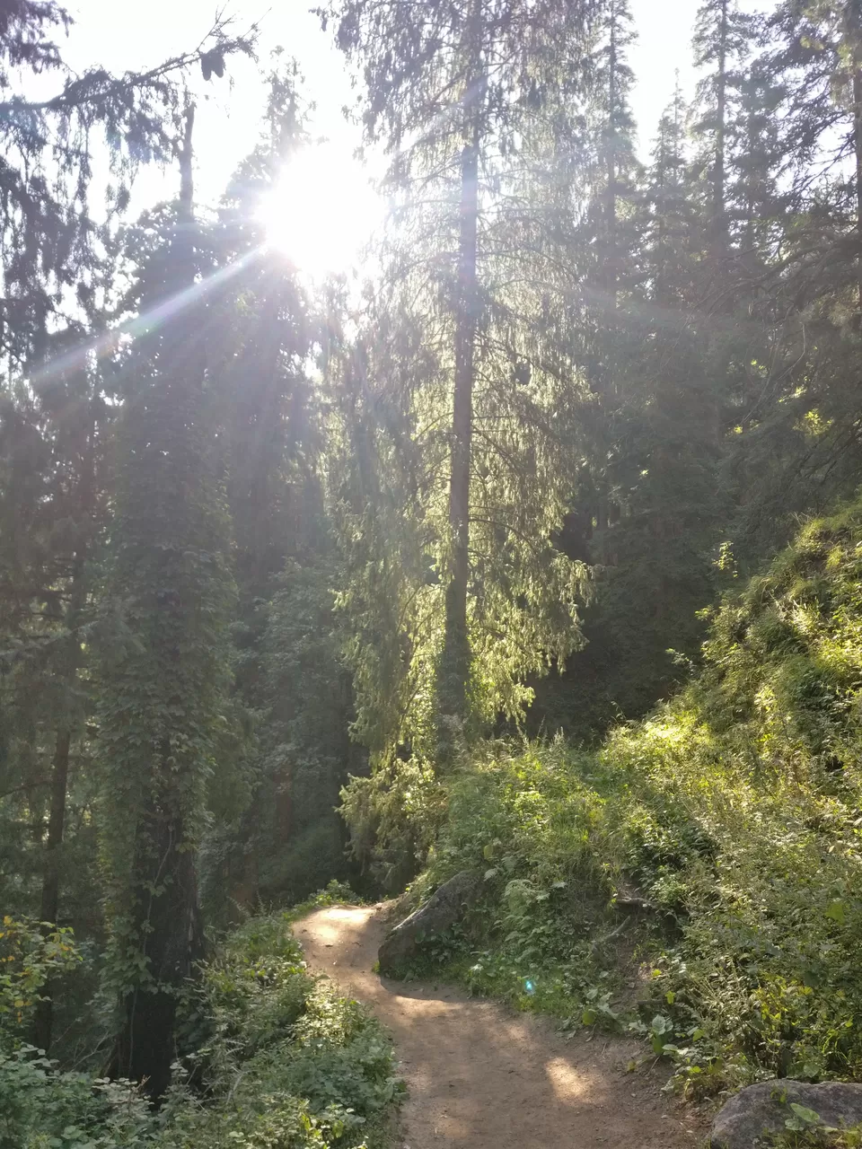 Photo of Katagla Forest Retreat, Kasol, Himachal Pradesh, India by pooja thakkar