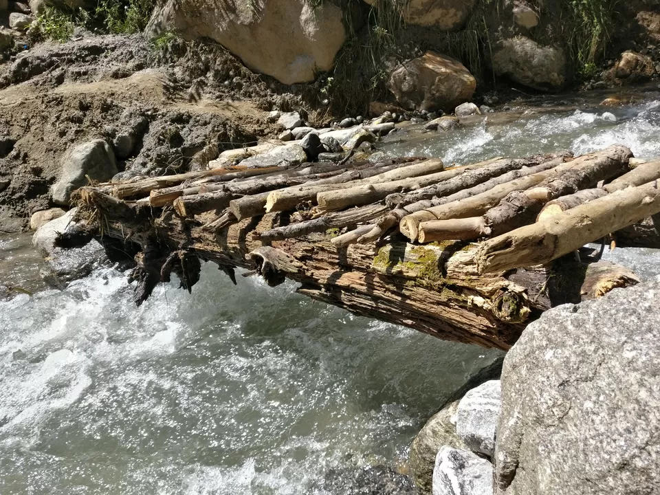 Photo of When you want to be high in Parvati Valley, but on nature. by pooja thakkar