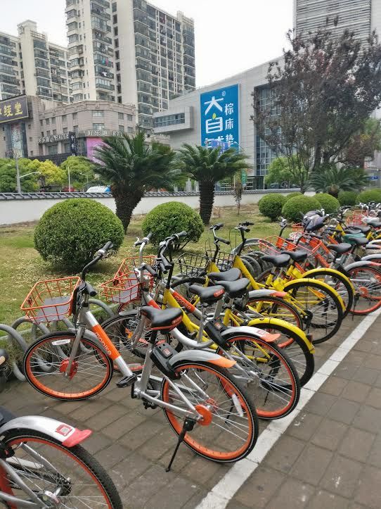 Photo of Shanghai, China by pooja thakkar