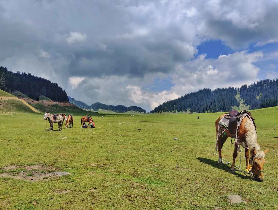 Photo of Bangus Valley : A Detailed Travel Guide to Explore This Paradise! by Arhi