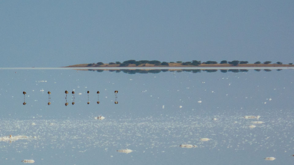 Photo of A Week Long Backpacking Trip In Gujarat 7/19 by Saurabh Lahoti