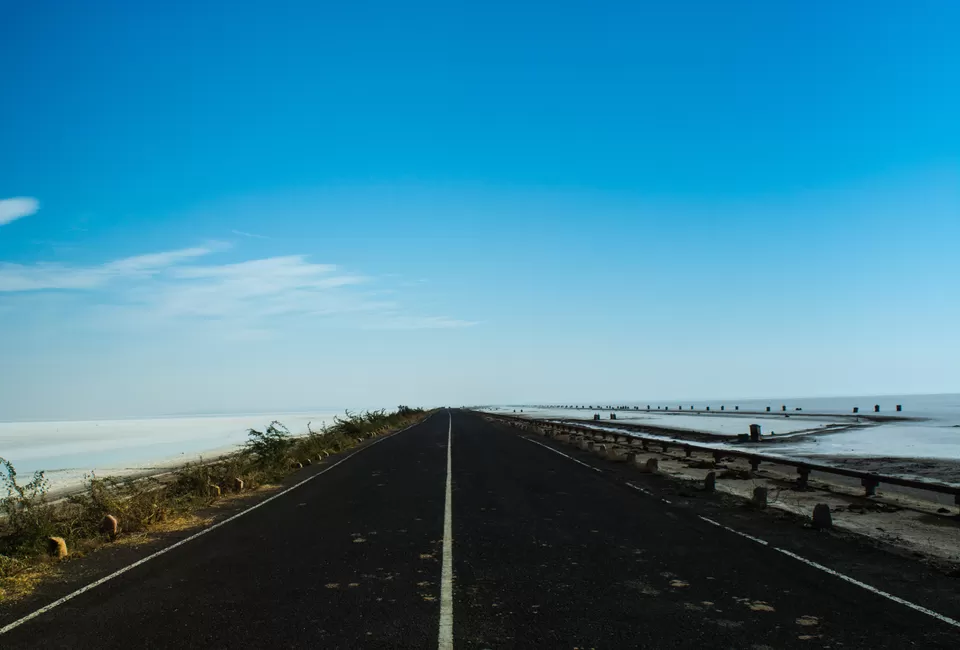 Photo of Khadir Bet, Kutch, Gujarat, India by Saurabh Lahoti