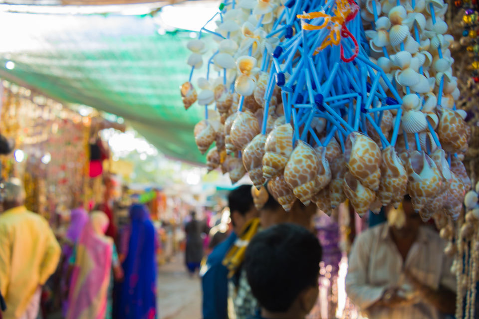 Photo of A Week Long Backpacking Trip In Gujarat 19/19 by Saurabh Lahoti