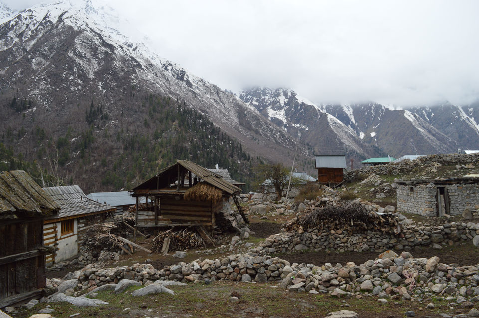 Photo of The frontier village of india : Chitkul 5/11 by Archit Dhoopar
