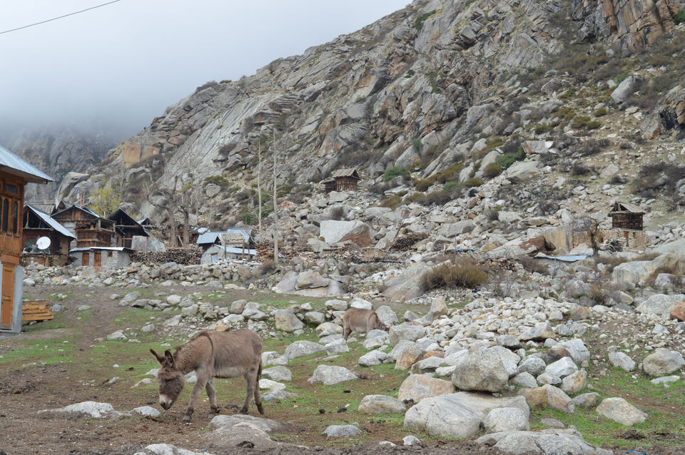 Photo of The frontier village of india : Chitkul 9/11 by Archit Dhoopar