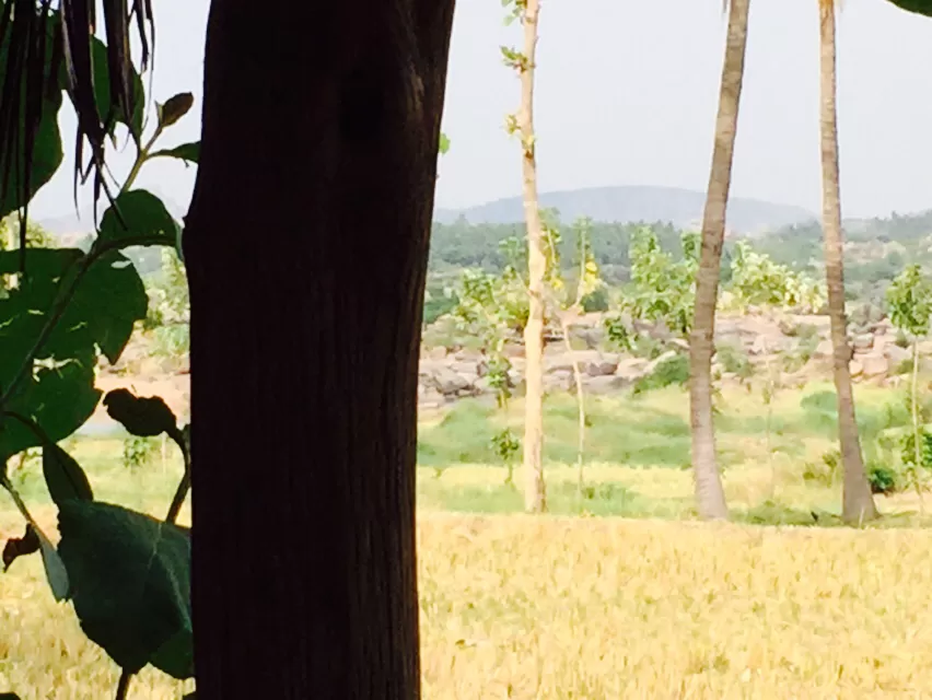 Photo of Hampi, Karnataka, India by Nitika Sharma