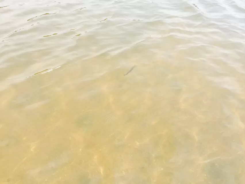 Photo of Hampi, Karnataka, India by Nitika Sharma