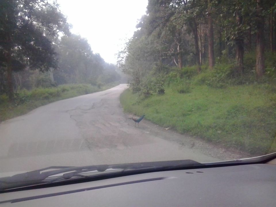 Photo of Trip to the land of gods (Kerala) by Nitika Sharma