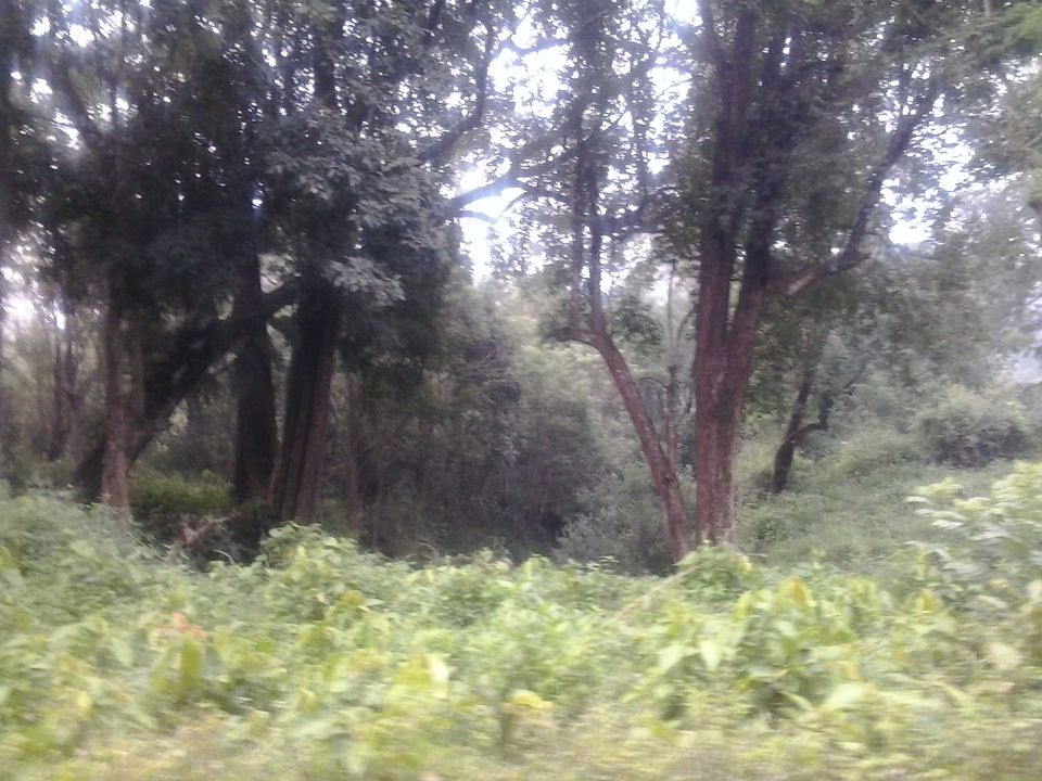 Photo of Trip to the land of gods (Kerala) by Nitika Sharma