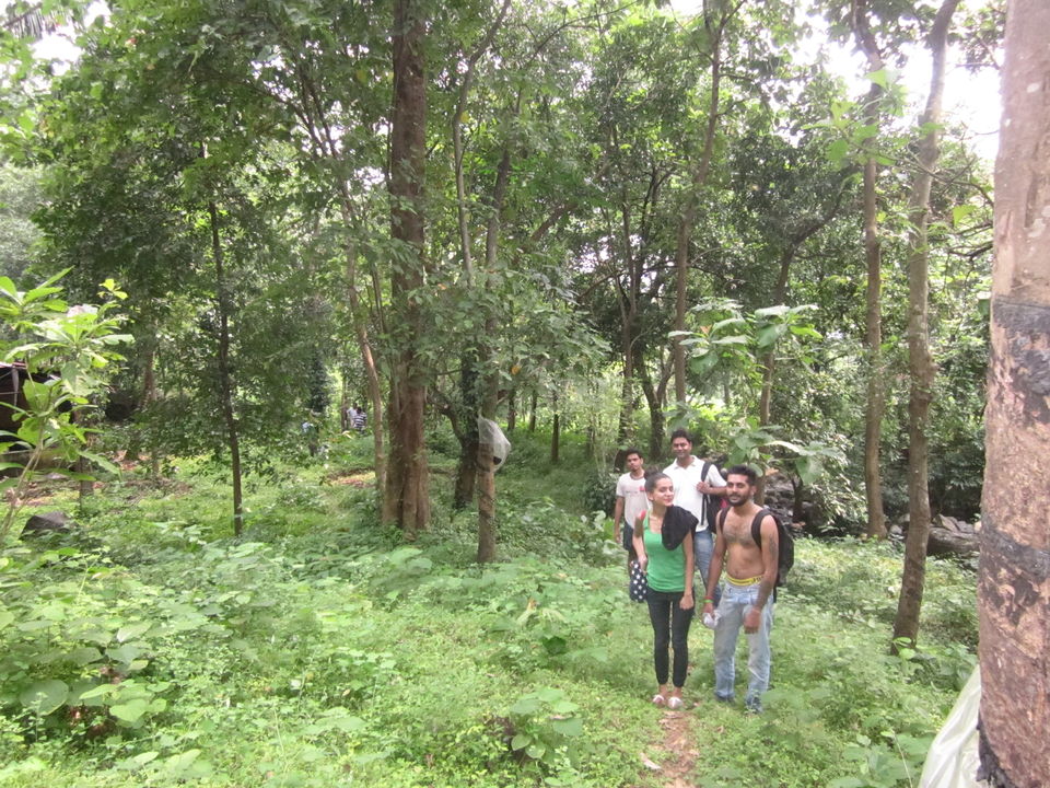 Photo of Trip to the land of gods (Kerala) by Nitika Sharma