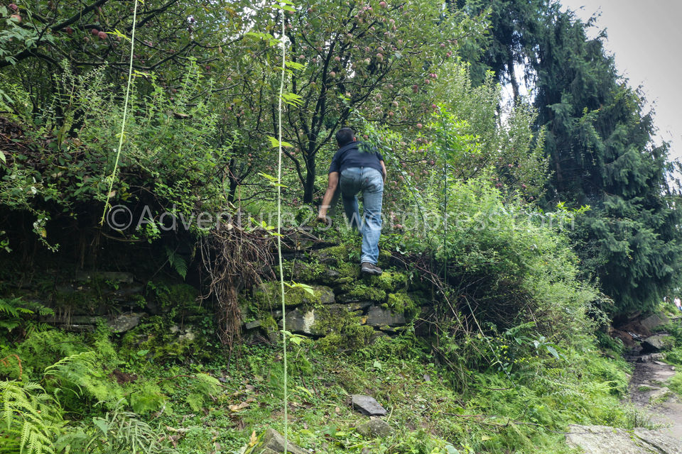 Photo of Manali, Himachal Pradesh, India by Nidhi