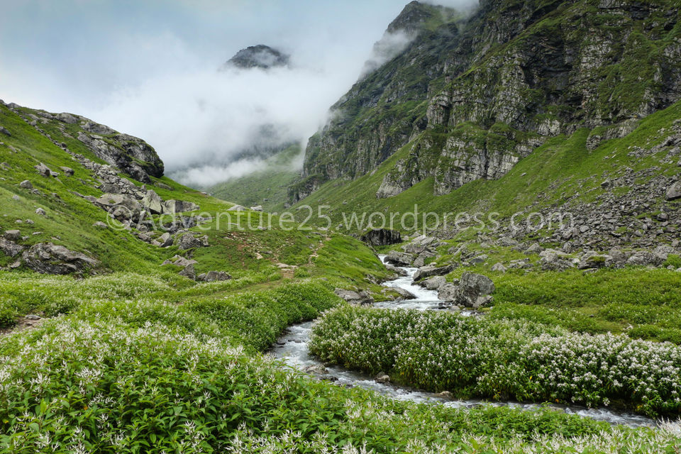 Photo of Hampta Pass-One of the Most beautiful, thrilling and picturesque trek at 14000ft in Himanchal by Nidhi