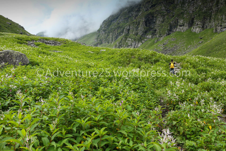 Photo of Hampta Pass-One of the Most beautiful, thrilling and picturesque trek at 14000ft in Himanchal by Nidhi