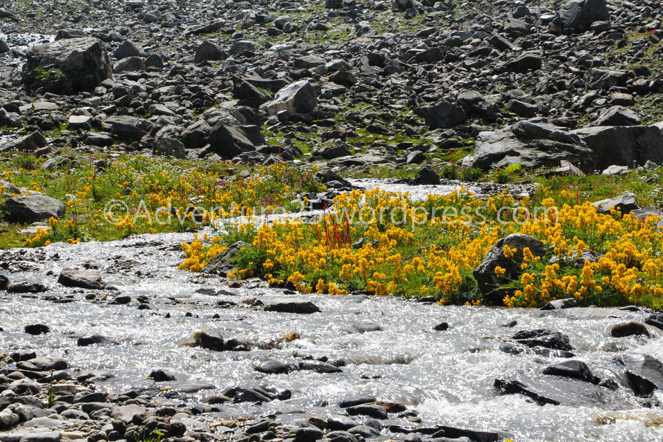 Photo of Hampta Pass-One of the Most beautiful, thrilling and picturesque trek at 14000ft in Himanchal by Nidhi