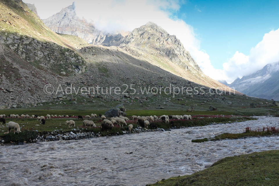 Photo of Hampta Pass-One of the Most beautiful, thrilling and picturesque trek at 14000ft in Himanchal by Nidhi