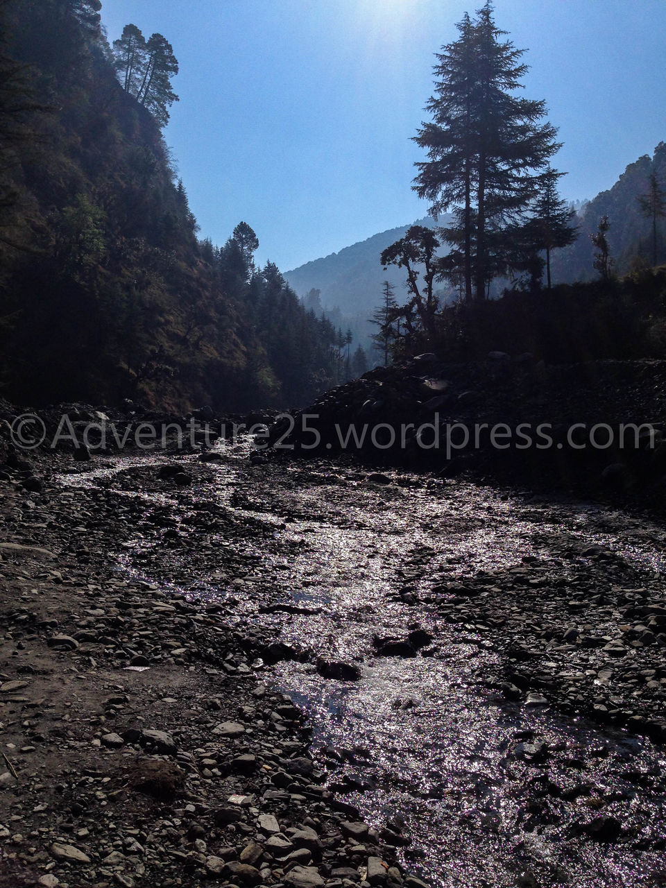 Photo of Prashar Lake - Why you need to do this trek SOLO ? by Nidhi