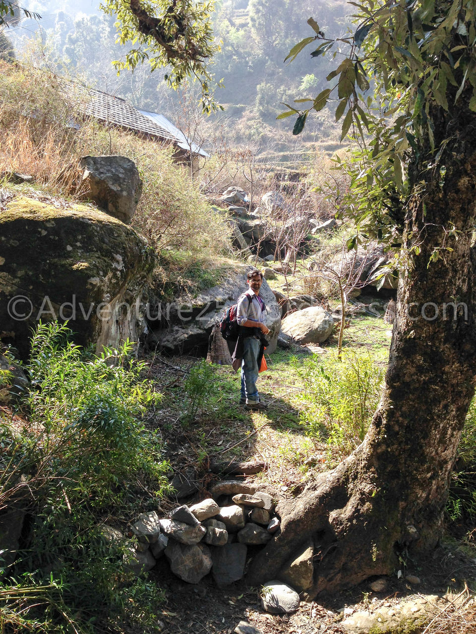 Photo of Prashar Lake - Why you need to do this trek SOLO ? by Nidhi