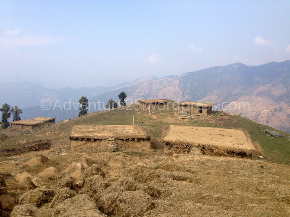 Photo of Prashar Lake - Why you need to do this trek SOLO ? by Nidhi