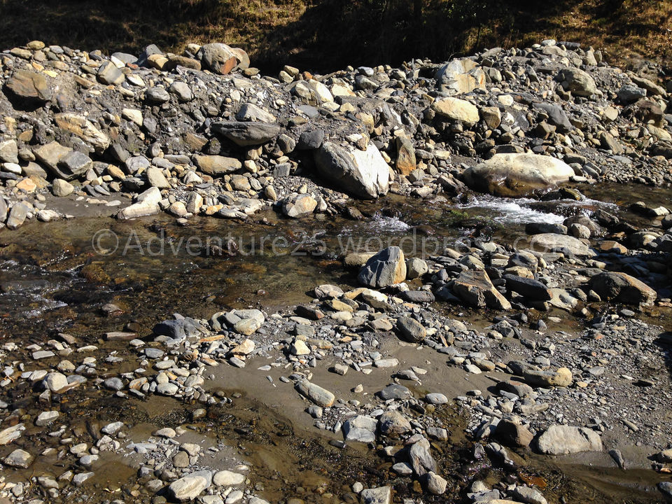 Photo of Prashar Lake - Why you need to do this trek SOLO ? by Nidhi