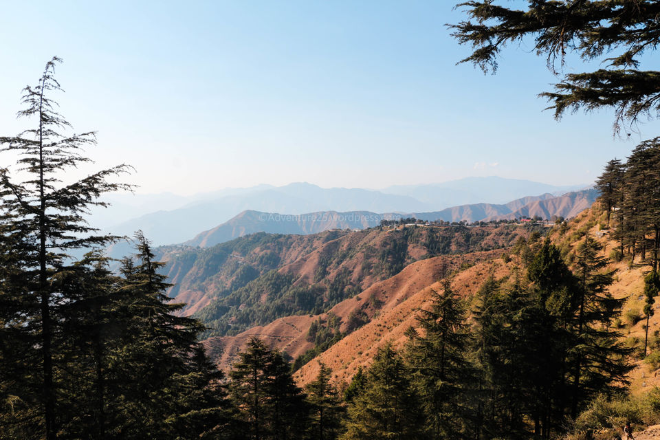 Photo of Dehradun, Uttarakhand, India by Nidhi
